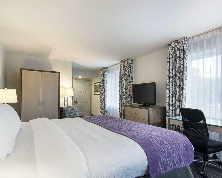 Hotel Comfort Inn Williamsburg Gateway