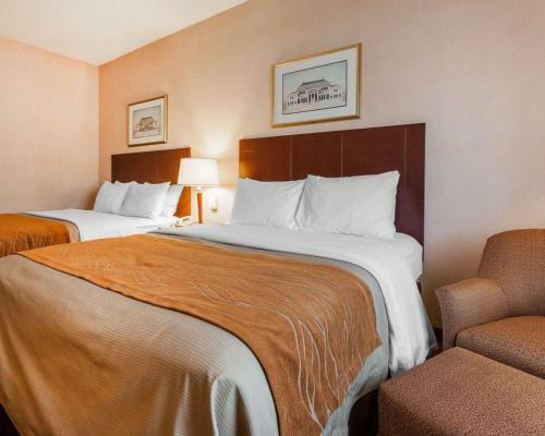 Hotel Comfort Inn Kelso