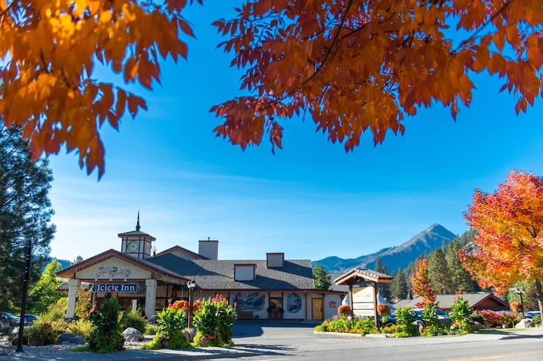 Hotel Icicle Village Resort