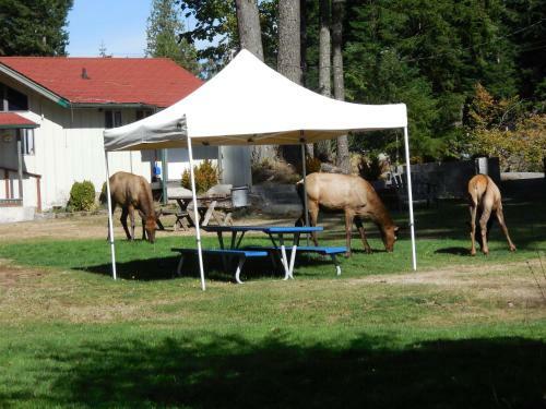 Mountain View Lodge