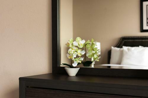 Apartamentos Stay Alfred On Wall Street
