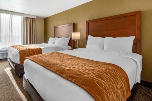Hotel Comfort Inn & Suites