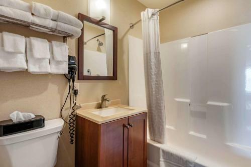 Hotel Comfort Inn & Suites