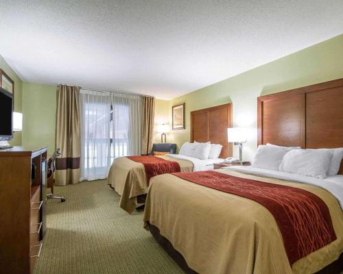 Hotel Comfort Inn & Suites Black River Falls I-94