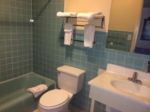 Motel Rapids Inn & Suites