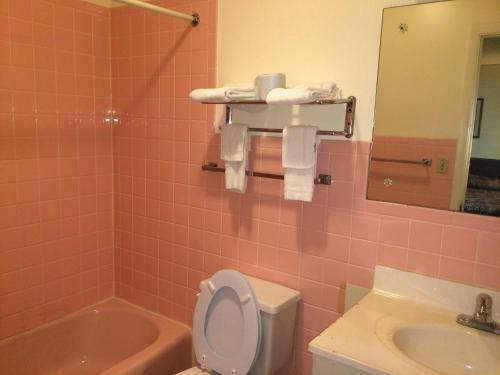 Motel Rapids Inn & Suites