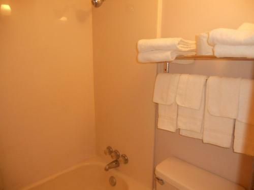 Motel Rapids Inn & Suites