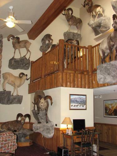 Hotel Americinn Cody-yellowstone