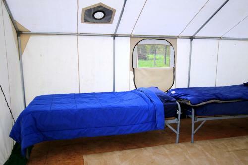 Bedroll And Breakfast ?