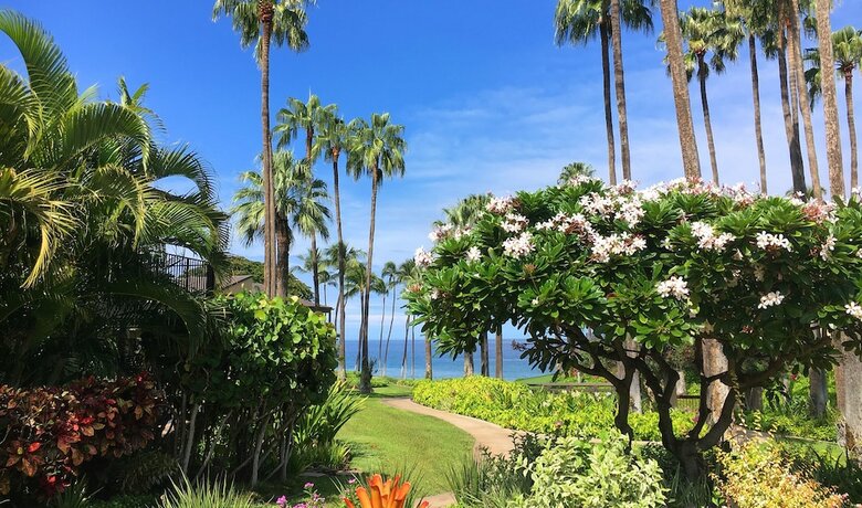 Hotel Wailea Elua Village, A Destination Residence