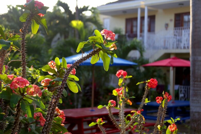Hotel Negril Palms