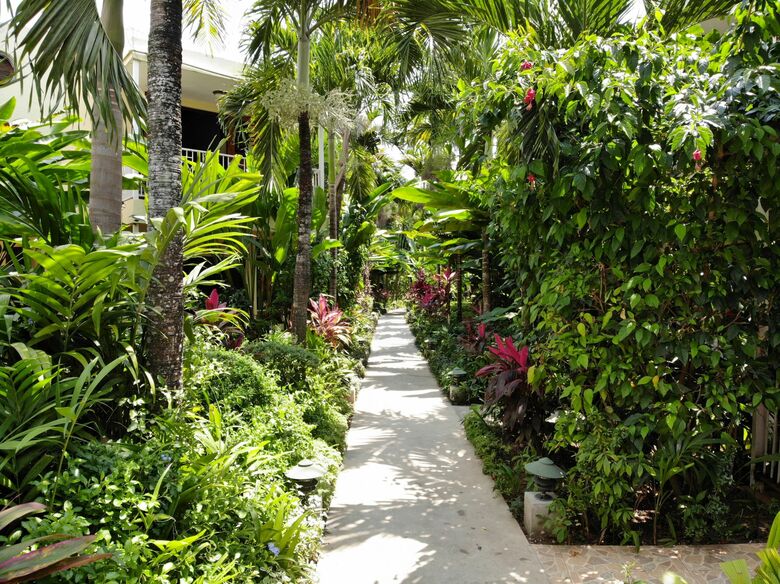 Hotel Negril Palms