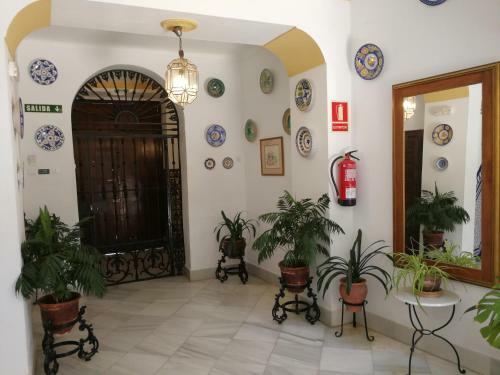 Hostal Maestre