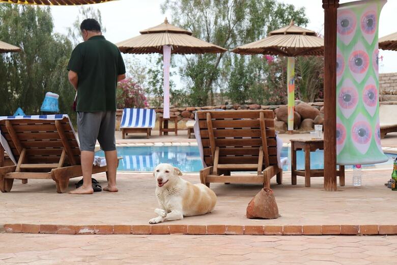 Bedouin Moon Hotel