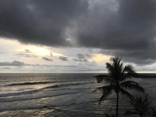 Hotel The Ocean Park Beach Resort