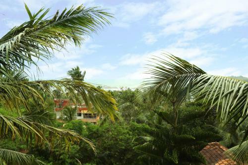 Hotel Park International