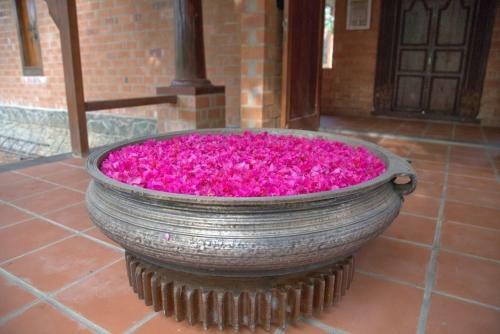 Hostal The Lily Pad