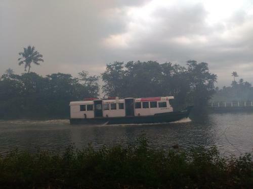 Backwater Breeze
