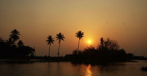 Backwater Breeze
