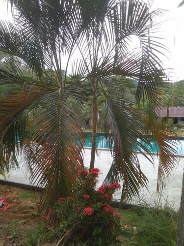 Hotel The Valley Koh Lanta