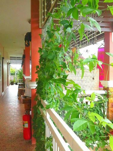Bed & Breakfast Lampang Lanna Home