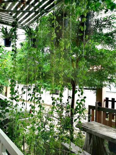 Bed & Breakfast Lampang Lanna Home