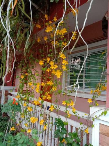Bed & Breakfast Lampang Lanna Home