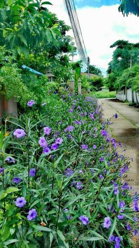 Bed & Breakfast Lampang Lanna Home