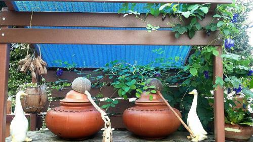 Bed & Breakfast Lampang Lanna Home