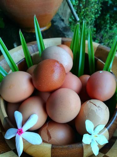 Bed & Breakfast Lampang Lanna Home