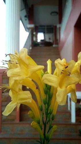 Bed & Breakfast Lampang Lanna Home
