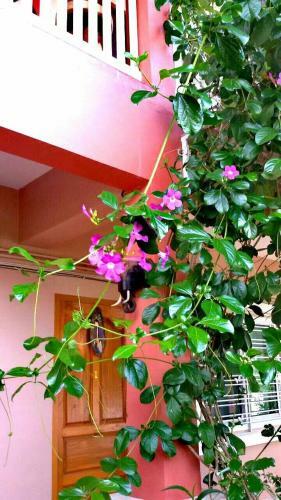Bed & Breakfast Lampang Lanna Home
