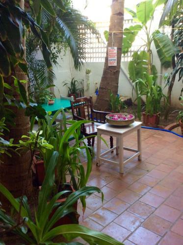 Daphne Hotel