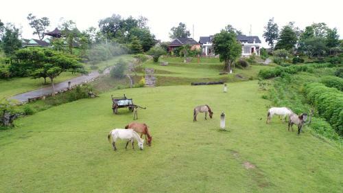 Hotel E-outfitting Pai Resort