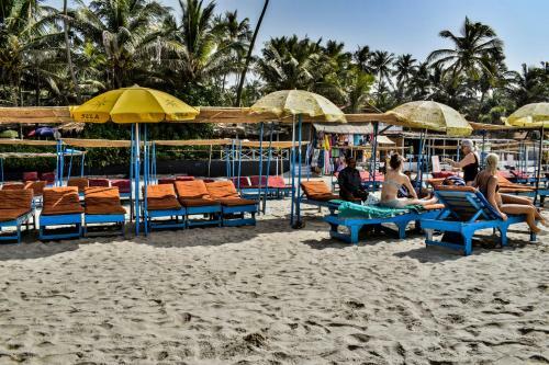 Hotel Shiva Cottages