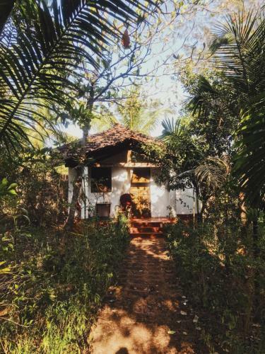 Hotel Jivana Resort