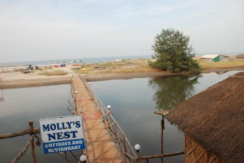 Molly's Nest