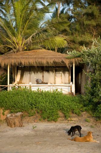 Hostal Lamore Cottages
