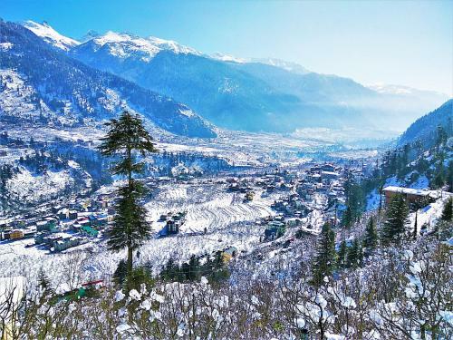 Hotel Pause At Manali