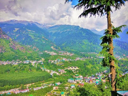 Hotel Pause At Manali
