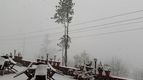 Hotel Vyas Vatika