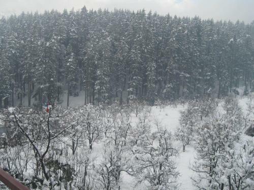 Hotel Snow Valley Resorts Manali