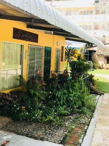Hostal Casa Theresa Guest House