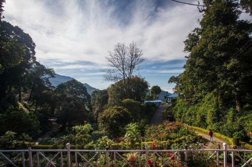 Hotel Olive Brook