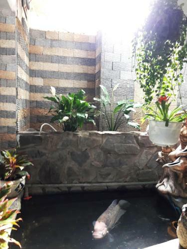 Quang Sang Hotel