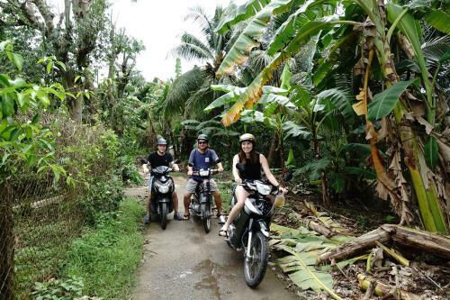Hostal Thanh Ha Guesthouse