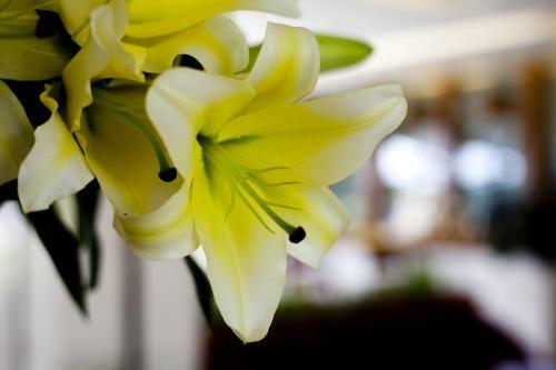Muong Thanh Da Lat Hotel