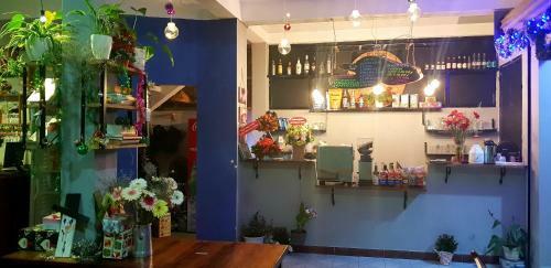 Albergue Tiny Tigers