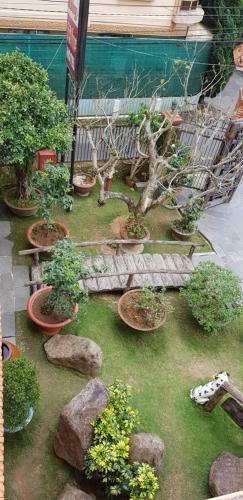 Hotel Villa Pink House