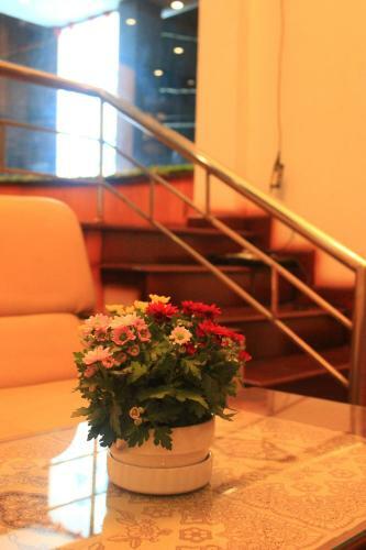 Dalat Sky Hostel